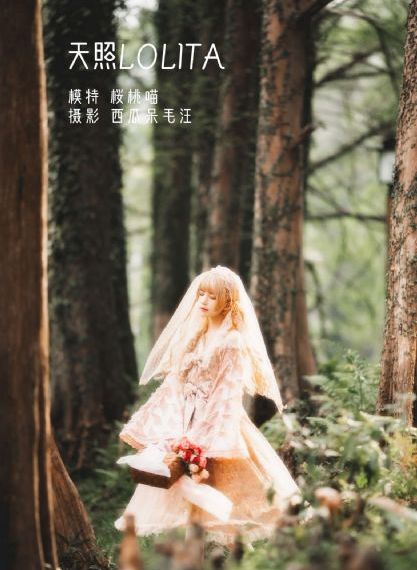都市女人在线观看全集_1080P完整在线观看